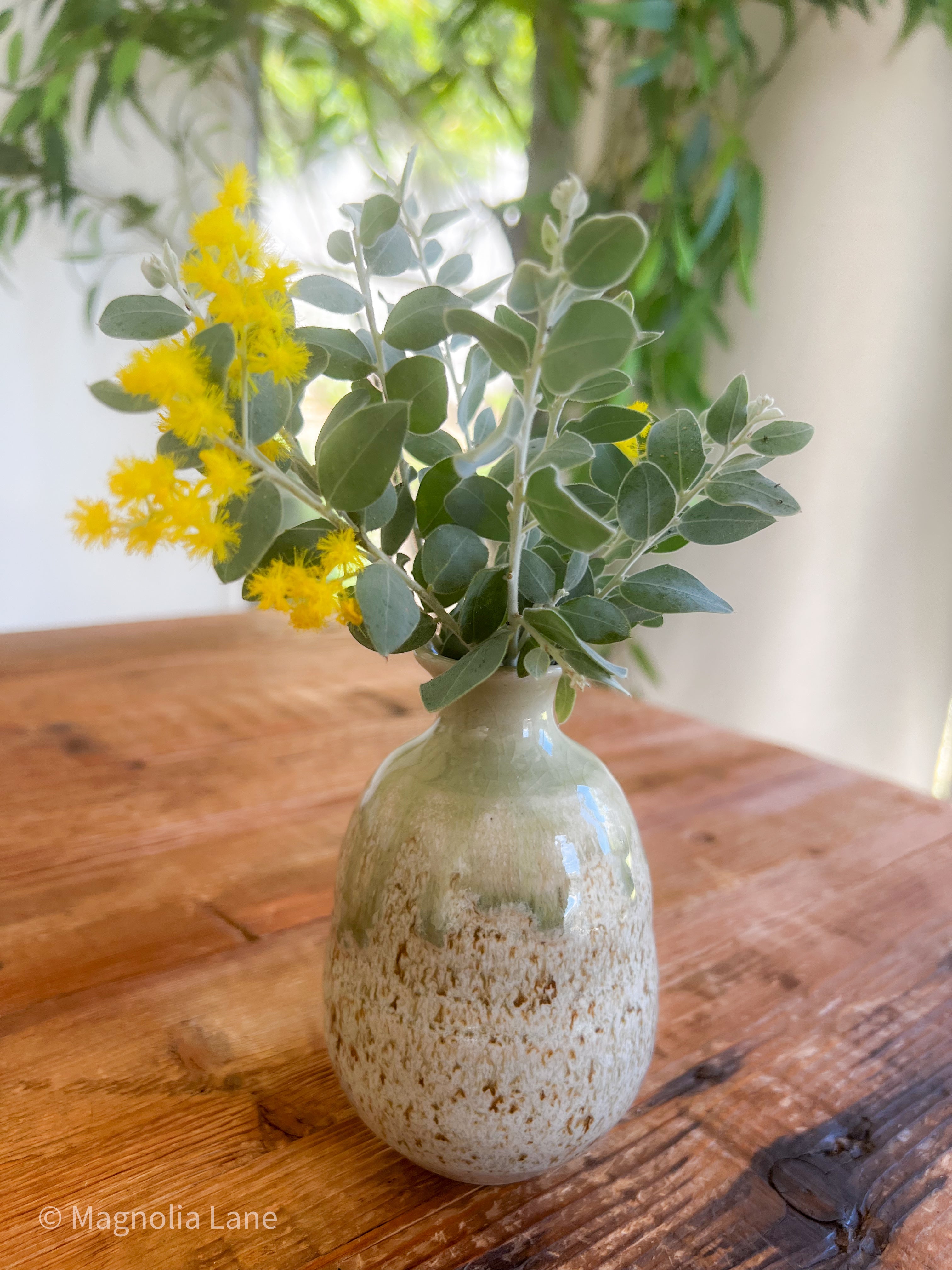 Handcrafted ceramic Sake Jug with light green drip glaze on a speckled finish, styled as a bud vase with a beautiful Mt Morgan wattle cutting.