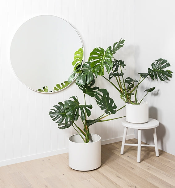 Flynn Round White Mirror – modern minimalist wooden mirror with soft matte white finish, available in multiple sizes, ideal for contemporary interiors-Magnolia Lane