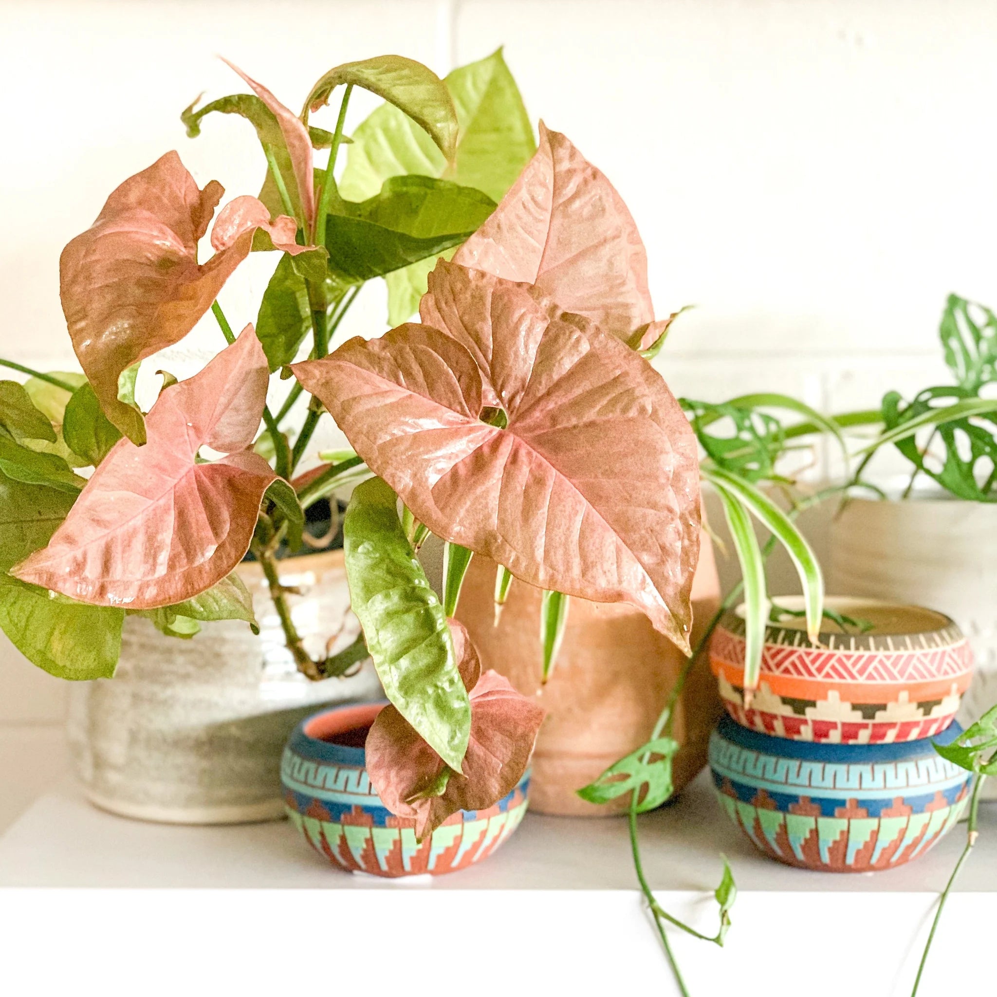 Handcrafted clay pots with desert and turquoise hues, featuring Native American-inspired Aztec and geometric patterns, durable and ideal for modern or eclectic interiors. Up close.