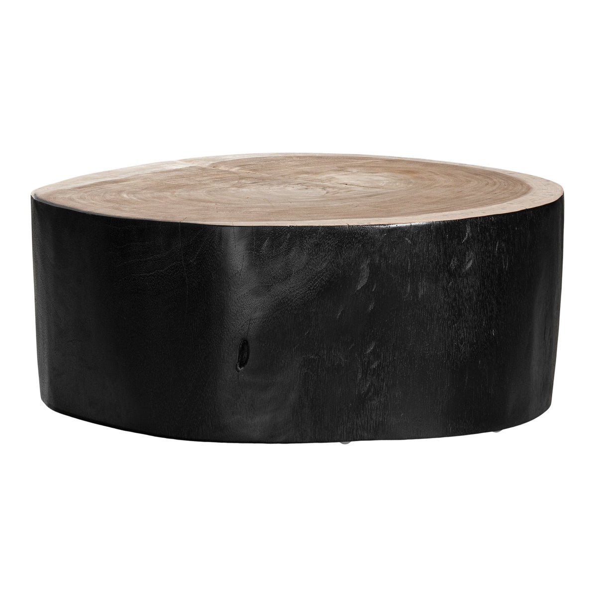 Trunk Coffee Table in Black by Uniqwa Collections