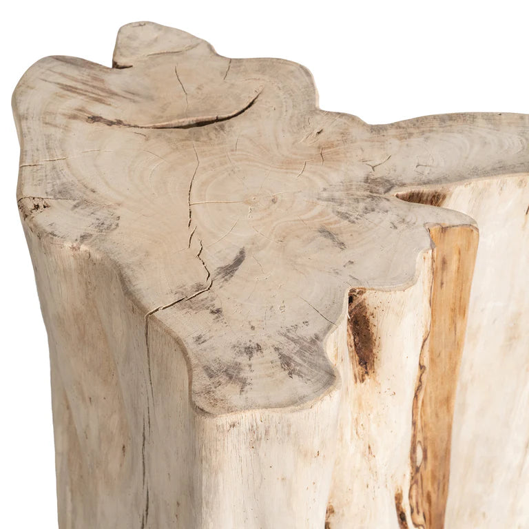 Malani Side Table handcrafted from Bodhi Fig Tree root with natural organic shape and warm wood tones – each piece uniquely formed by nature. Detailed perspective 2
