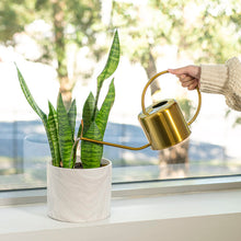 Load image into Gallery viewer, Planter Lover Watering Can | Gold - Magnolia Lane