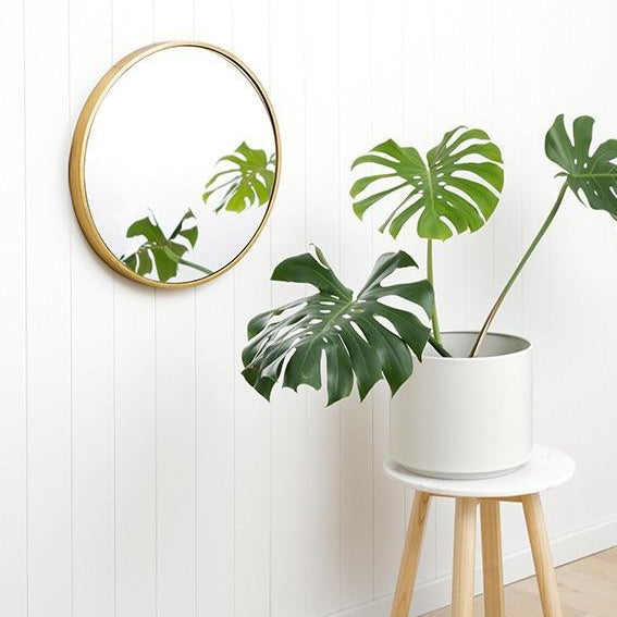 Bella Round | Brass-Magnolia Lane