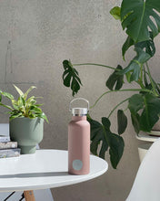 Load image into Gallery viewer, Driss | Insulated Stainless Steel Bottle | Innsbruck - Porter Green - Magnolia Lane