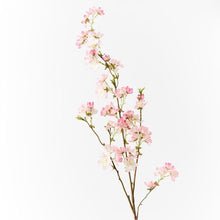 Load image into Gallery viewer, Cherry Blossom | Cream Pink - Faux Flower - Magnolia Lane