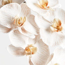 Load image into Gallery viewer, Orchid Phalaenopsis Infused | Dove - Faux Flowers - Magnolia Lane