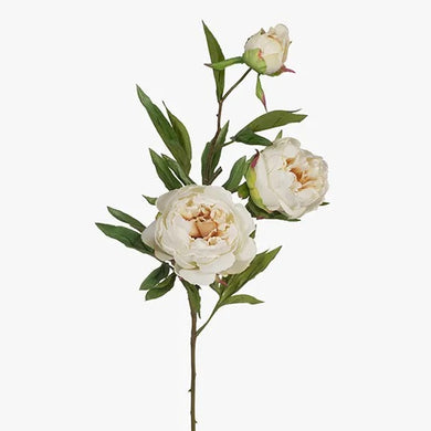Peony x 3 | Cream - Faux Flowers - Magnolia Lane