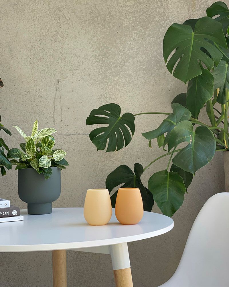 Fegg | Unbreakable Silicone Tumblers | Durban-Magnolia Lane