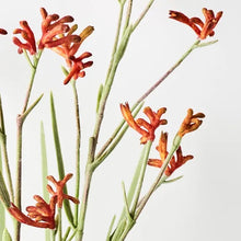 Load image into Gallery viewer, Kangaroo Paw Plant | Burnt Orange-Artificial Plants-Magnolia Lane