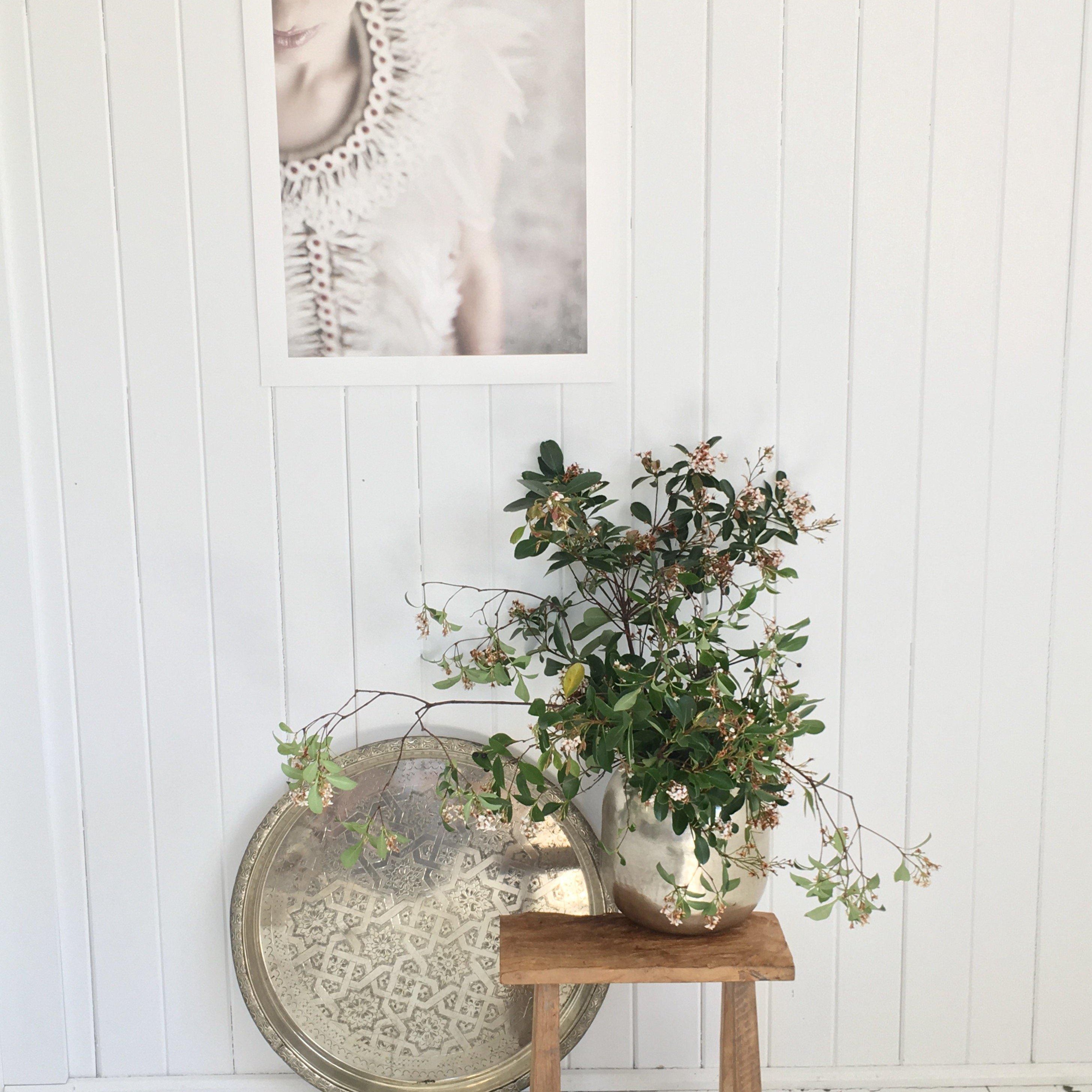 Shells & Feathers 50x70cm - Magnolia Lane