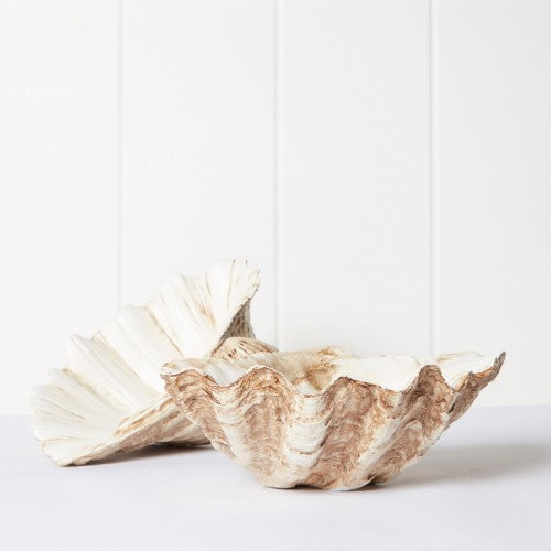 Vintage Wash polyresin mini clam shell bowls showing the ridged exterior and shell interior