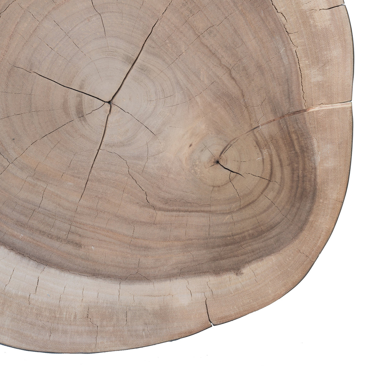Trunk Coffee Table top close-up showing natural munggur grain and cracking