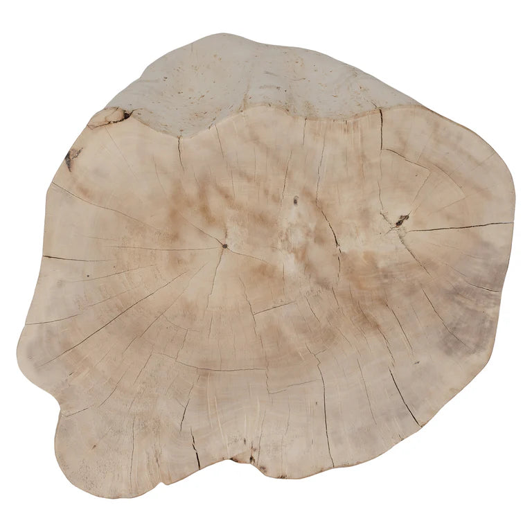 Malani Side Table handcrafted from Bodhi Fig Tree root with natural organic shape and warm wood tones – each piece uniquely formed by nature.  Top perspective.