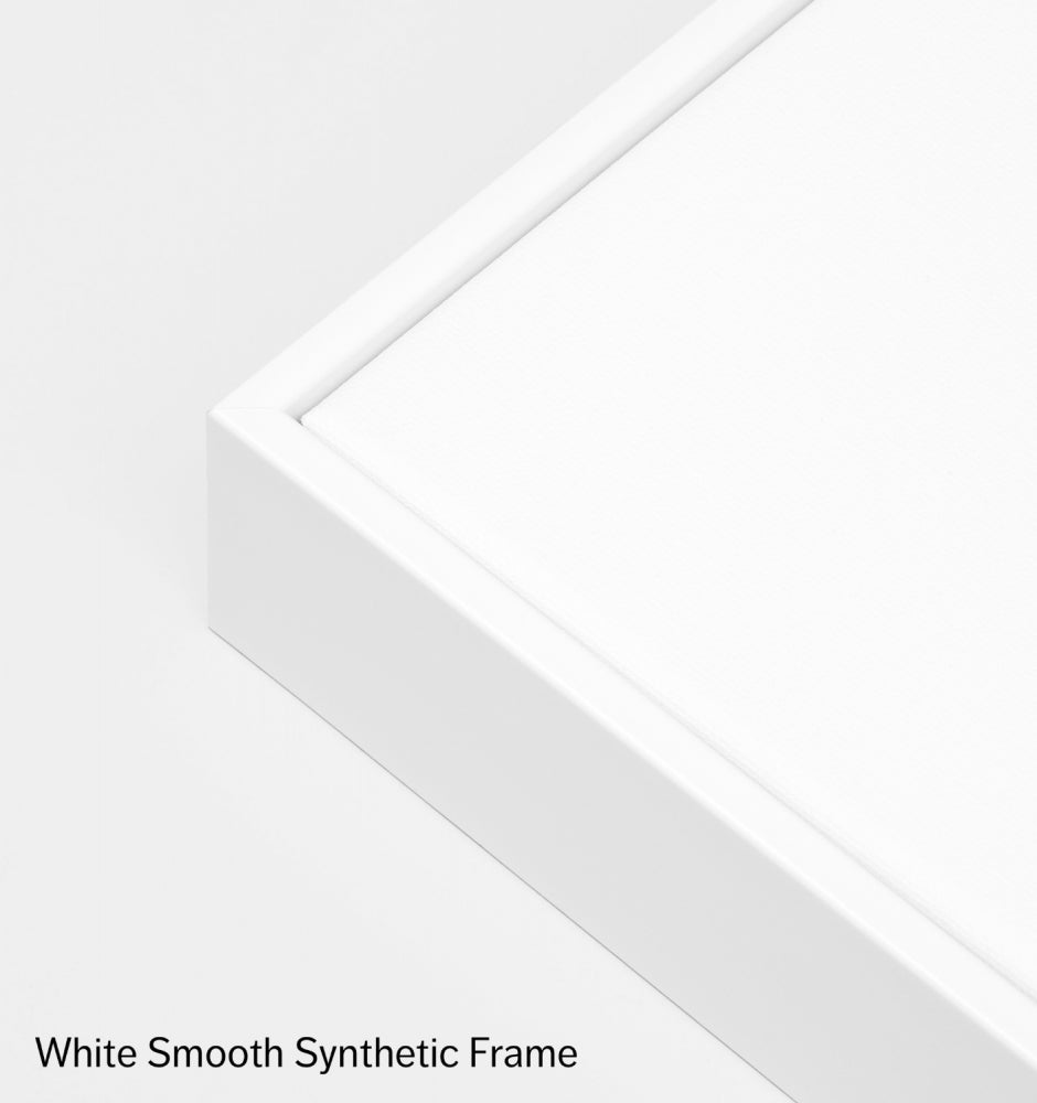 White smooth synthetic frame option for canvas prints, ready to hang, handcrafted in Melbourne