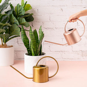 Plant Lover Watering Can | Rose Gold