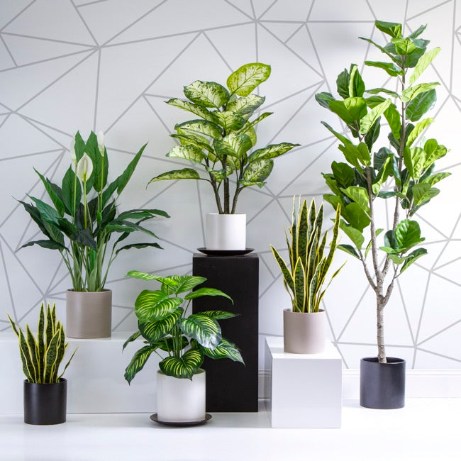 Ceramic Cylinder Pot-Large | Matte White - White Pot - Magnolia Lane