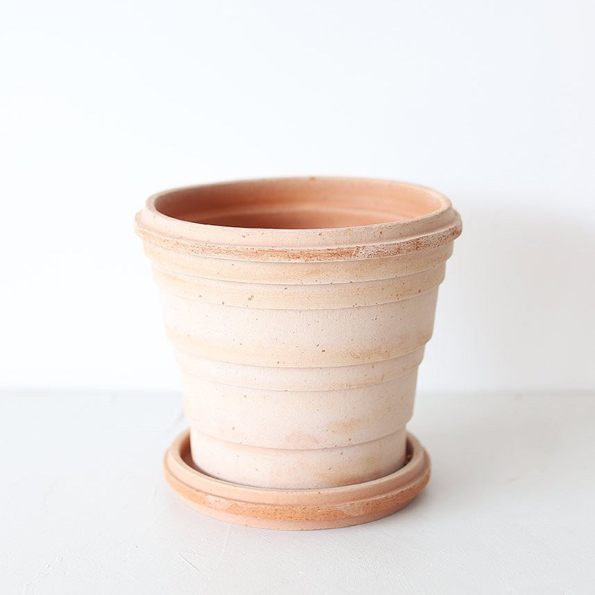 Planet Pot + Saucer | Rosa - Magnolia Lane
