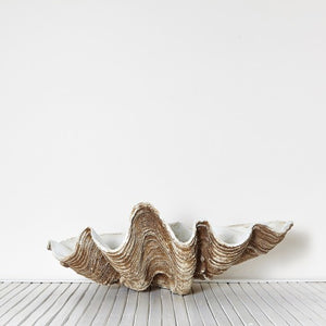 Vintage Clam Large 69cm - Magnolia Lane