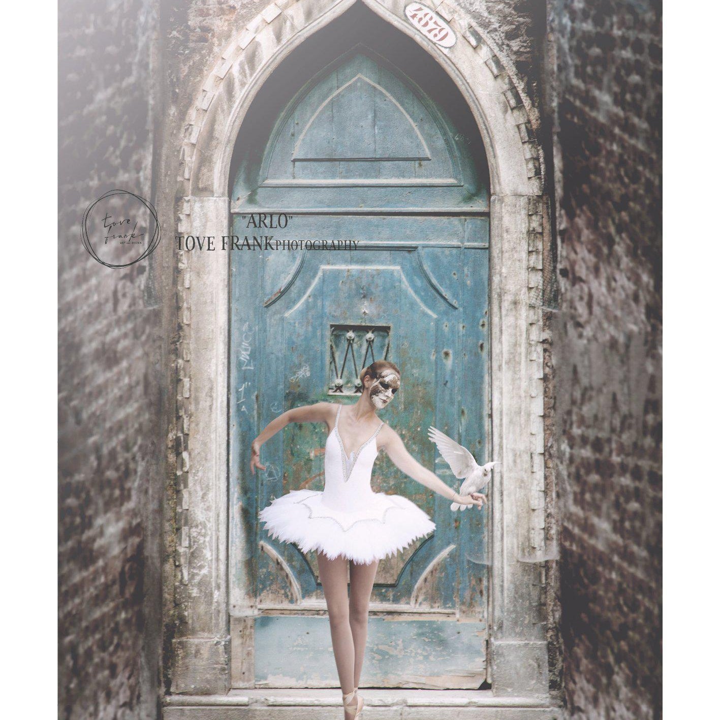 Arlo photographic print art 50x70 cm by Tove Frank - Magnolia Lane