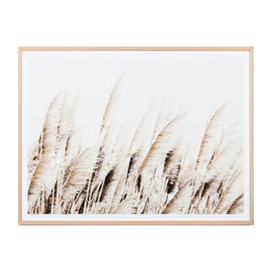 Middle of Nowhere - Pampas Breeze Framed Print - Magnolia Lane