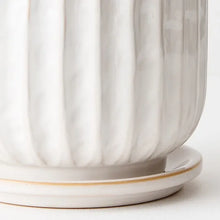 Load image into Gallery viewer, Clovelly white pot with saucer, Magnolia Lane home decor