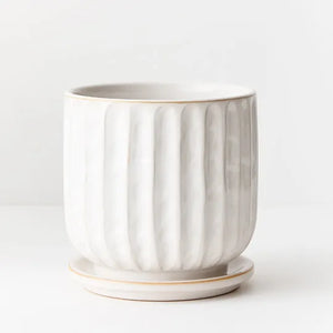 Clovelly white pot with saucer, Magnolia Lane Pots and Planters