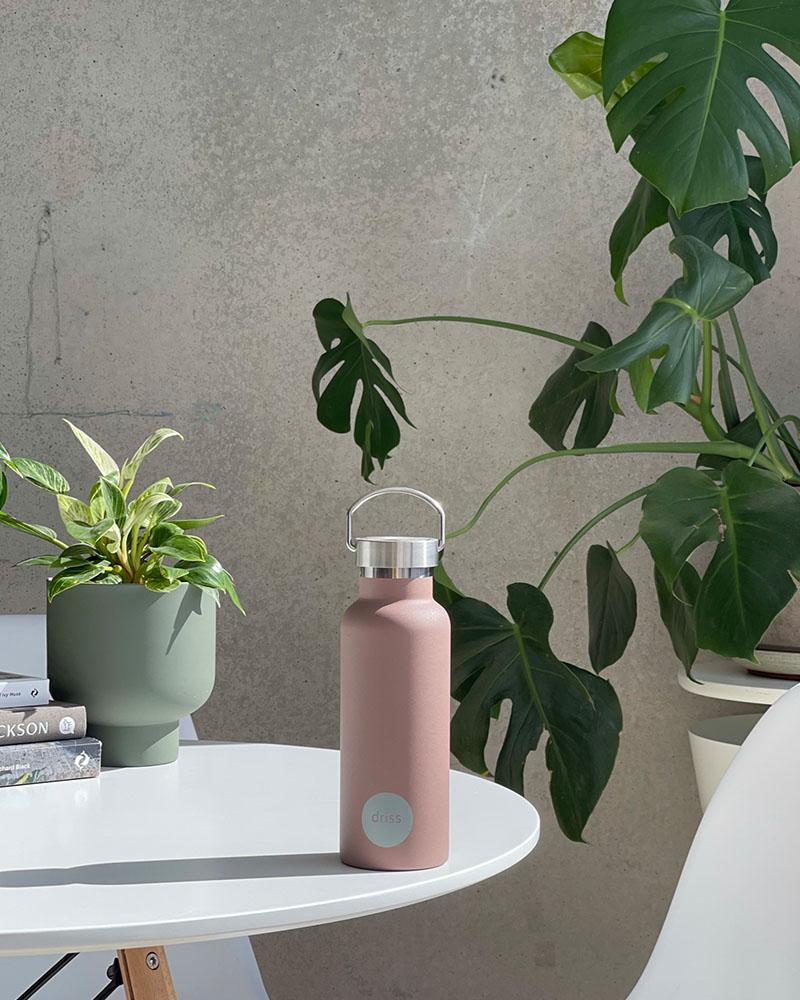 Driss | Insulated Stainless Steel Bottle | Innsbruck - Porter Green - Magnolia Lane