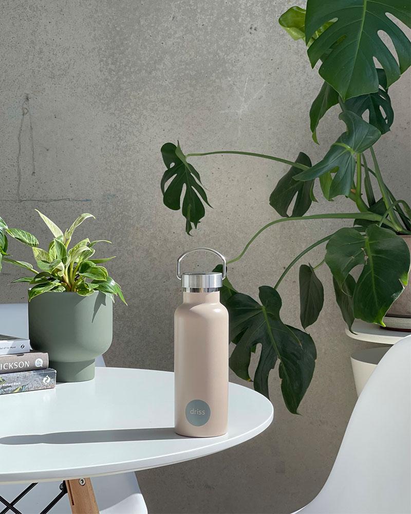 Driss | Insulated Stainless Steel Bottle | Bruges - Porter Green - Magnolia Lane