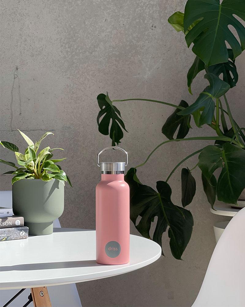 Driss | Insulated Stainless Steel Bottle | Suva - Porter Green - Magnolia Lane