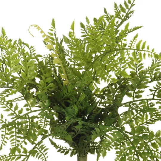 Artificial Leather Fern in green, Magnolia Lane artificial plants Sunshine Coast