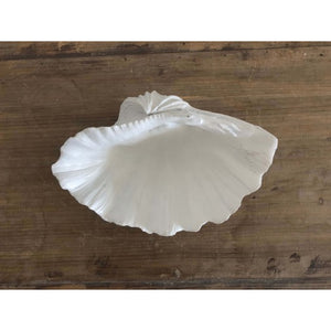 White Clam Mini 22cm