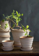 Load image into Gallery viewer, Planet Pot + Saucer | Rosa - Magnolia Lane