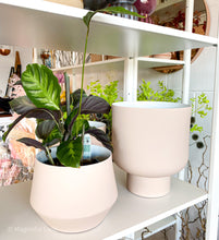 Load image into Gallery viewer, Fergus Planter | Nude - Middle of Nowhere - Magnolia Lane