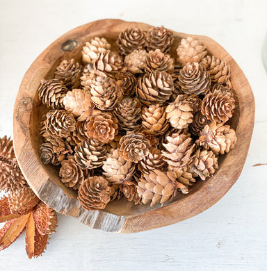 Baby Pine Cones-Christmas Craft-Magnolia Lane