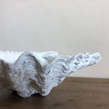 Load image into Gallery viewer, White Clam Mini 22cm