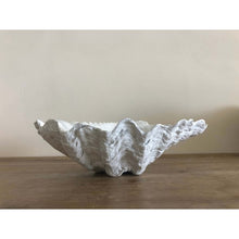 Load image into Gallery viewer, White Clam Mini 22cm - Magnolia Lane