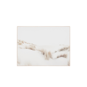 Dune Scape Framed Canvas-Coastal Prints-Warranbrooke-Magnolia Lane