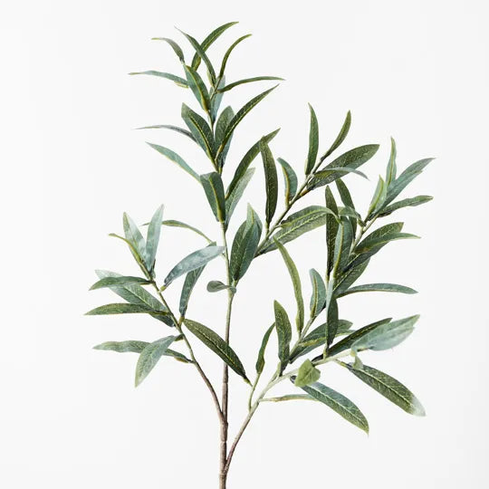 Olive leaf branch, Magnolia Lane artificial plants for the modern home
