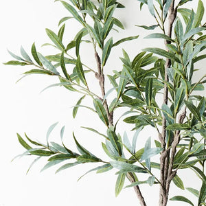 Faux Olive Tree, natural looking artificial trees and plants, Magnolia Lane home decor Australia wide delivery