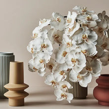 Load image into Gallery viewer, Orchid Phalaenopsis Infused | Dove - Faux Flowers - Magnolia Lane Sunshine Coast