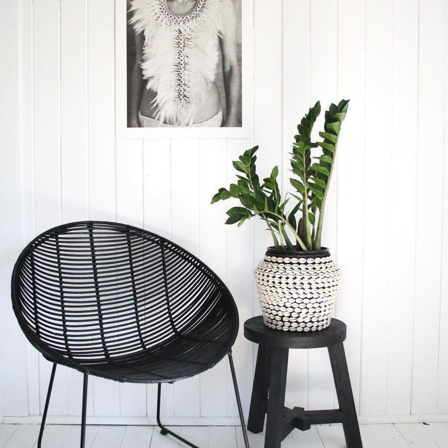 Shells & Feathers 50x70cm - Magnolia Lane