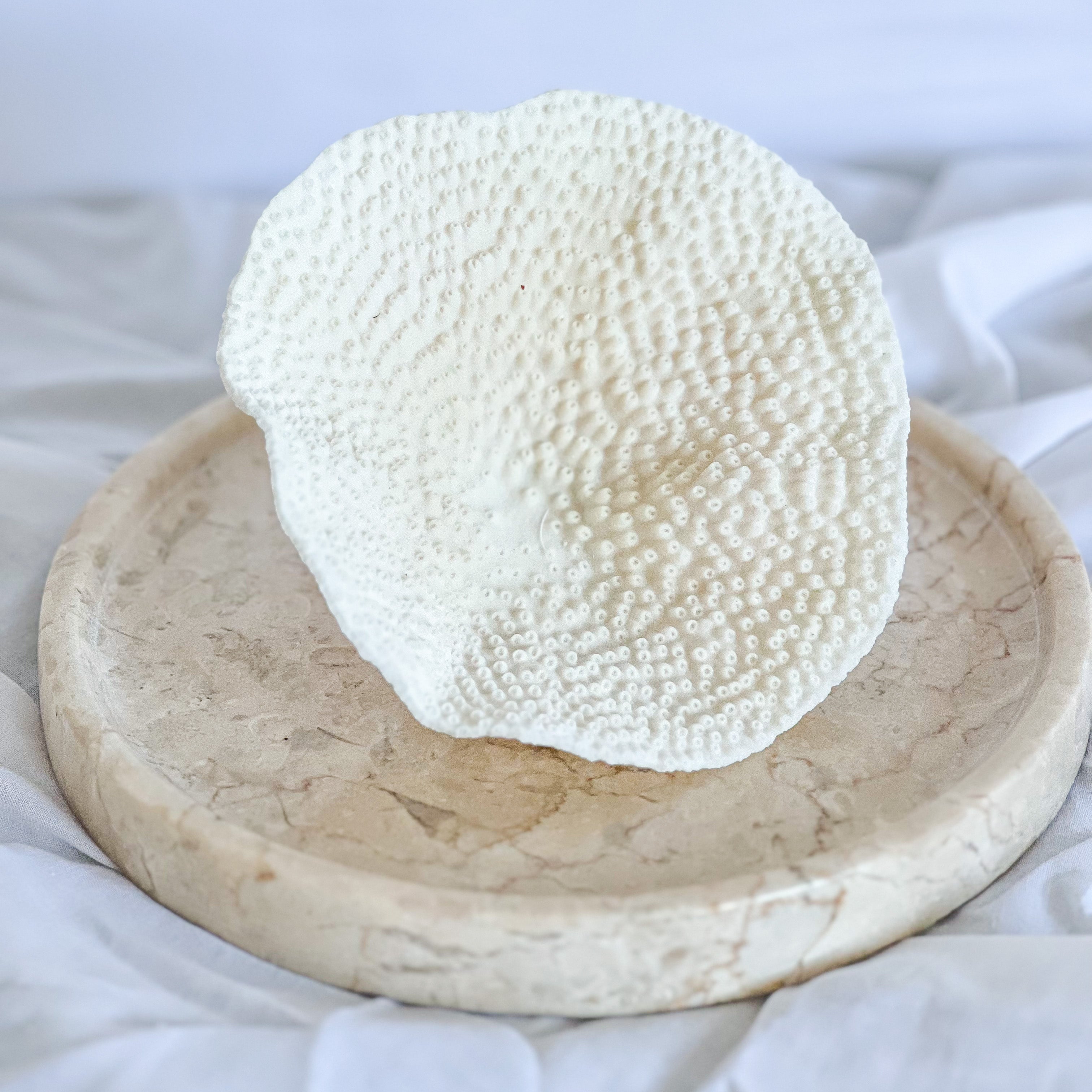 Sustainably sourced Turbinaria Coral, Magnolia Lane coastal decor