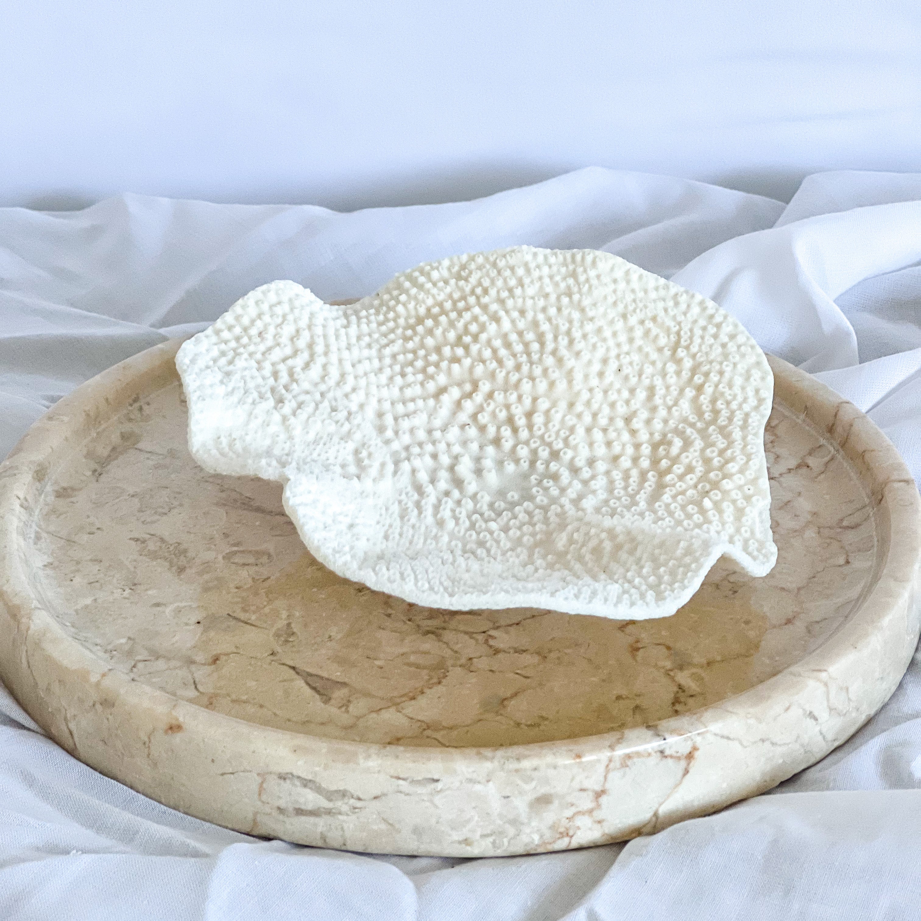 Sustainably sourced Turbinaria Coral, Magnolia Lane coastal decor 4