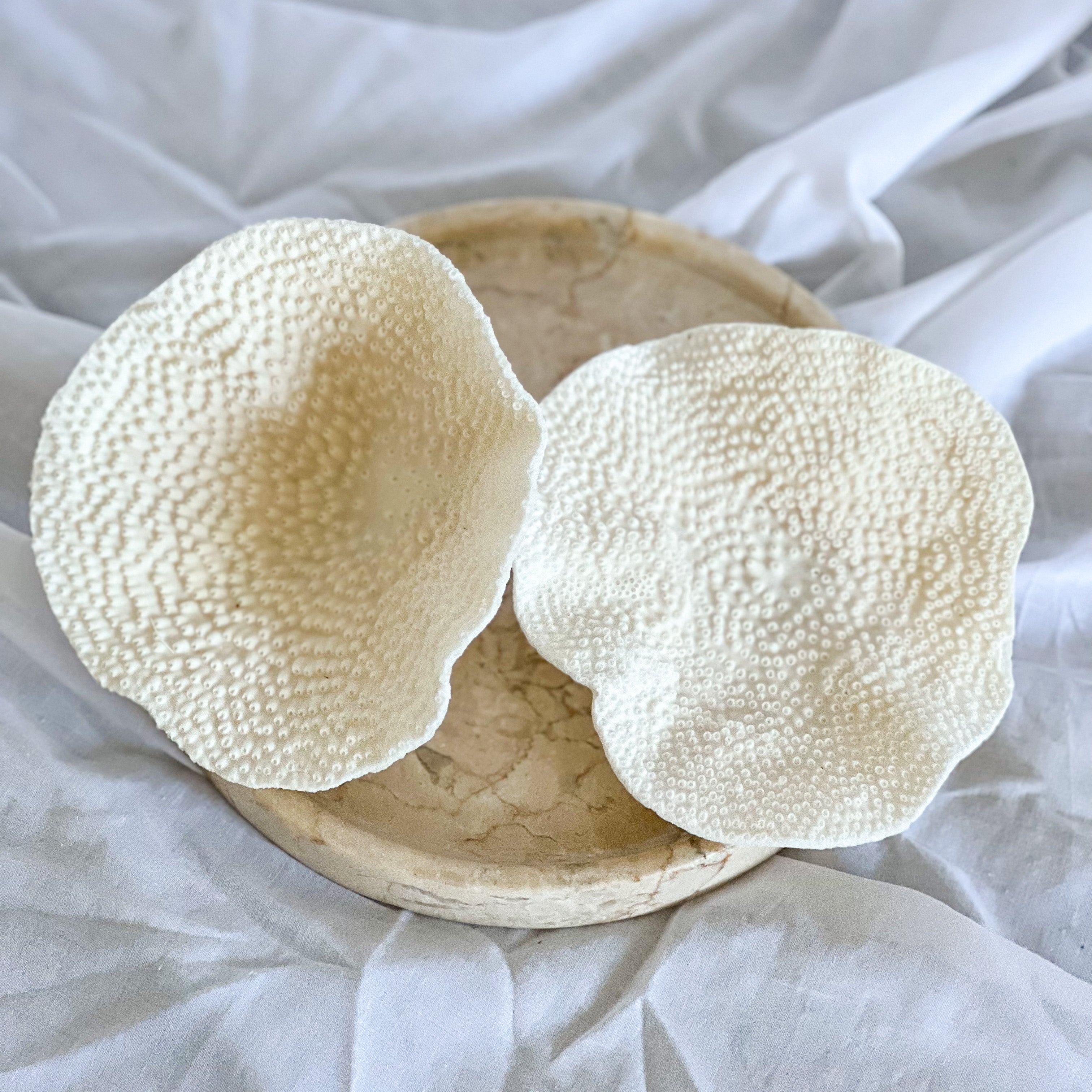 Sustainably sourced Turbinaria Coral, Magnolia Lane coastal decor 1