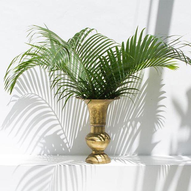 Vintage Brass Vase - Magnolia Lane global decor