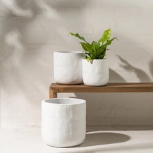 Load image into Gallery viewer, White textured cement pot, Magnolia Lane