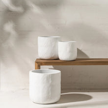 Load image into Gallery viewer, White textured cement pot, Magnolia Lane garden pot